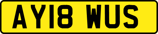 AY18WUS