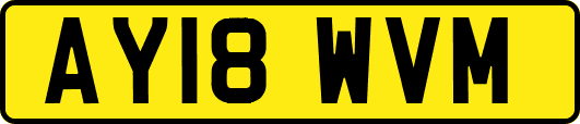AY18WVM