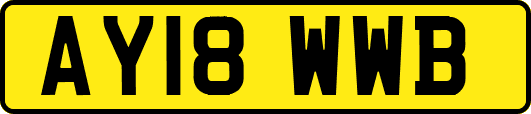 AY18WWB