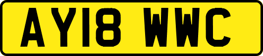 AY18WWC