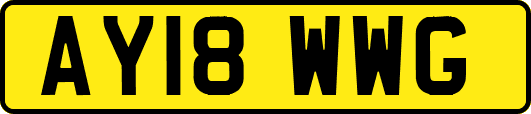 AY18WWG