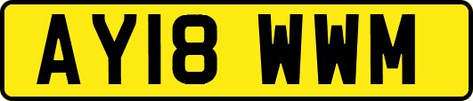 AY18WWM