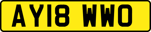 AY18WWO