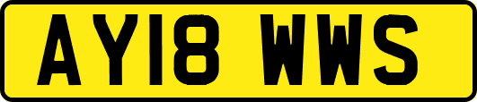 AY18WWS