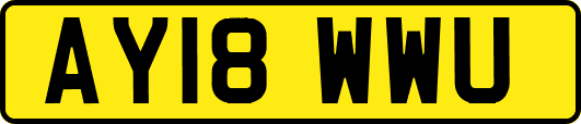AY18WWU