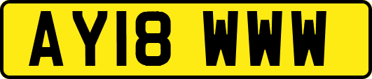 AY18WWW