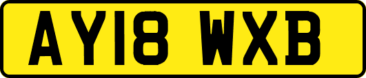 AY18WXB