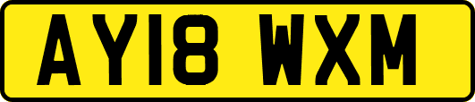 AY18WXM