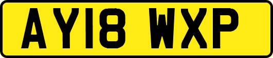 AY18WXP