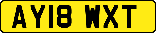 AY18WXT