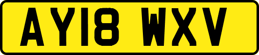 AY18WXV