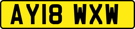 AY18WXW