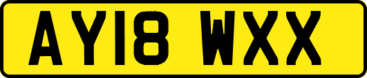 AY18WXX