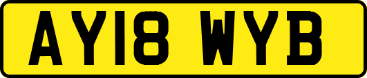 AY18WYB