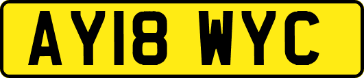 AY18WYC