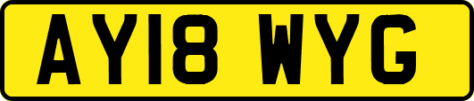 AY18WYG
