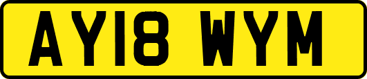 AY18WYM