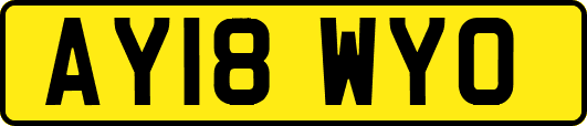 AY18WYO