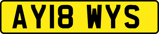 AY18WYS