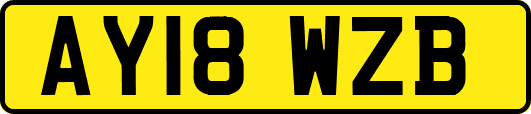 AY18WZB