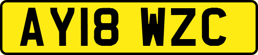 AY18WZC