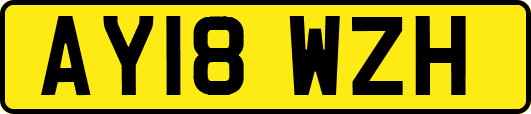 AY18WZH