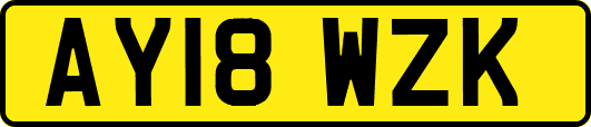 AY18WZK