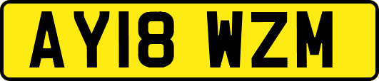 AY18WZM