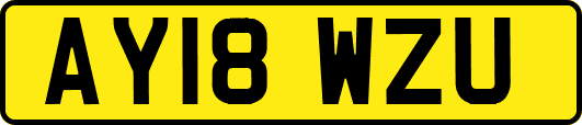 AY18WZU