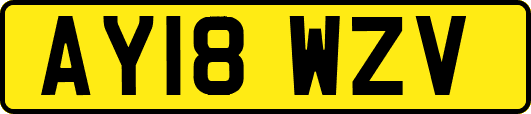 AY18WZV