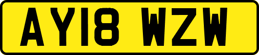 AY18WZW