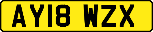 AY18WZX