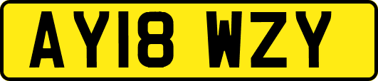 AY18WZY