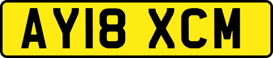 AY18XCM