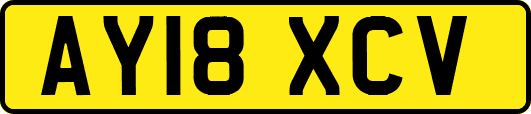 AY18XCV