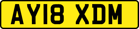 AY18XDM