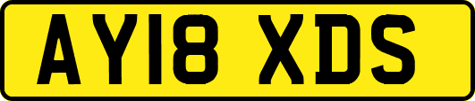 AY18XDS