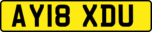 AY18XDU