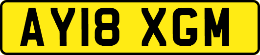AY18XGM