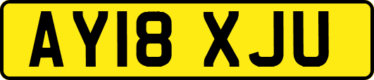 AY18XJU