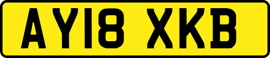 AY18XKB