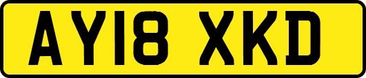 AY18XKD