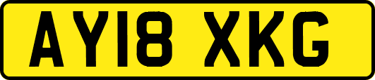 AY18XKG