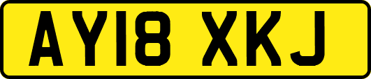AY18XKJ