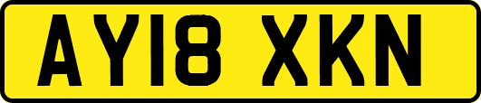 AY18XKN