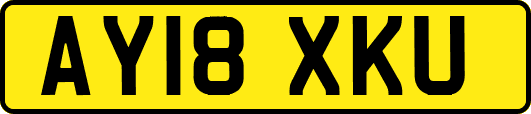 AY18XKU