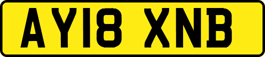 AY18XNB