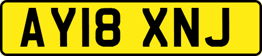 AY18XNJ