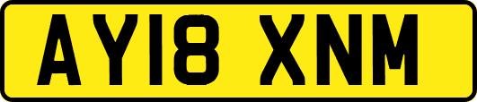 AY18XNM