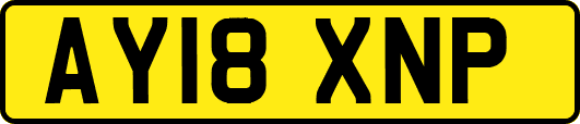 AY18XNP